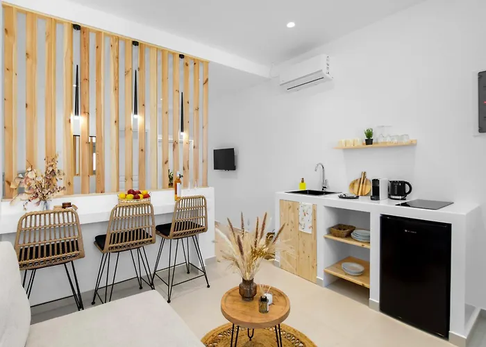 Plori Paros Apartament